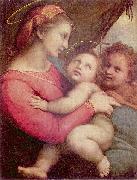 RAFFAELLO Sanzio Madonna della Tenda oil on canvas